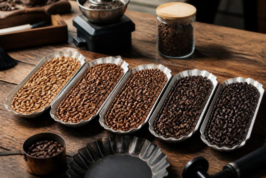 Coffee Roast Levels: Flavor Profiles Explained