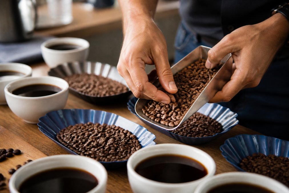 Decaf Coffee Beans Taste Test: What to Expect in 2026
