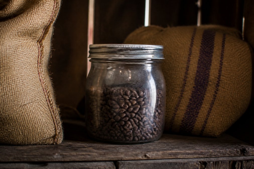 Is 10 Year Old Coffee Still Good? A Storage Guide