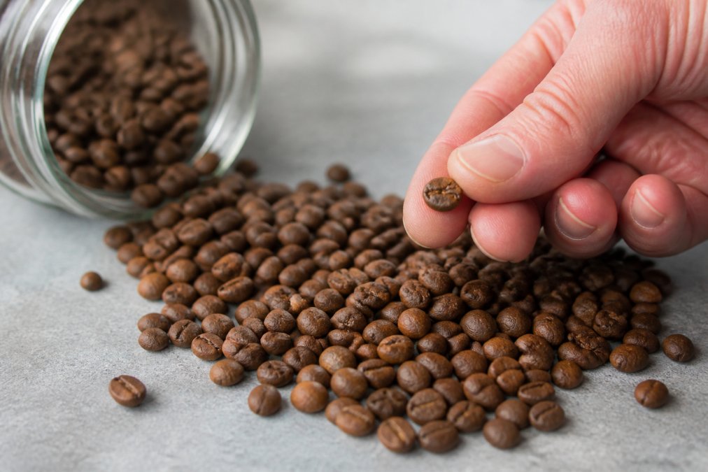 Signs of Stale Coffee Beans: How to Tell