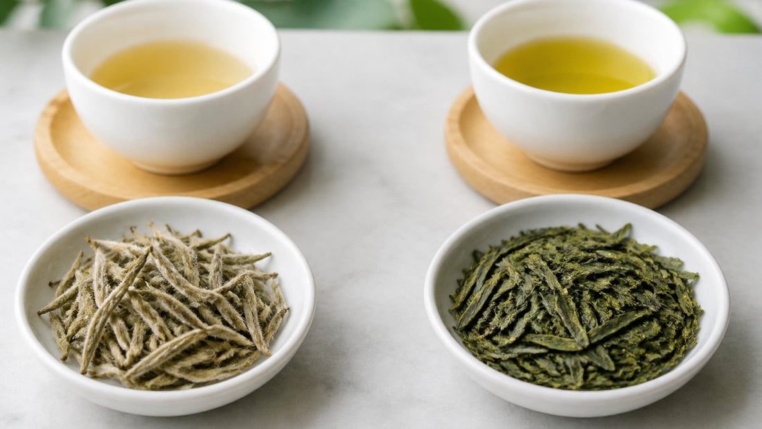 White Tea vs Green Tea: Health Benefits Compared