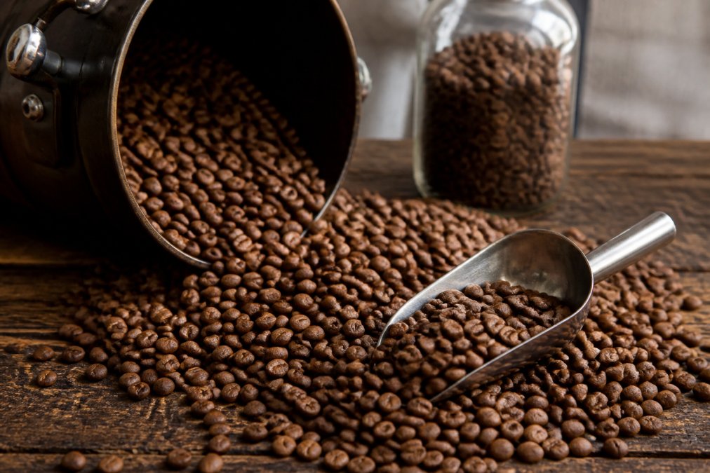 Why Freshly Roasted Coffee Tastes Better: The Science Explained