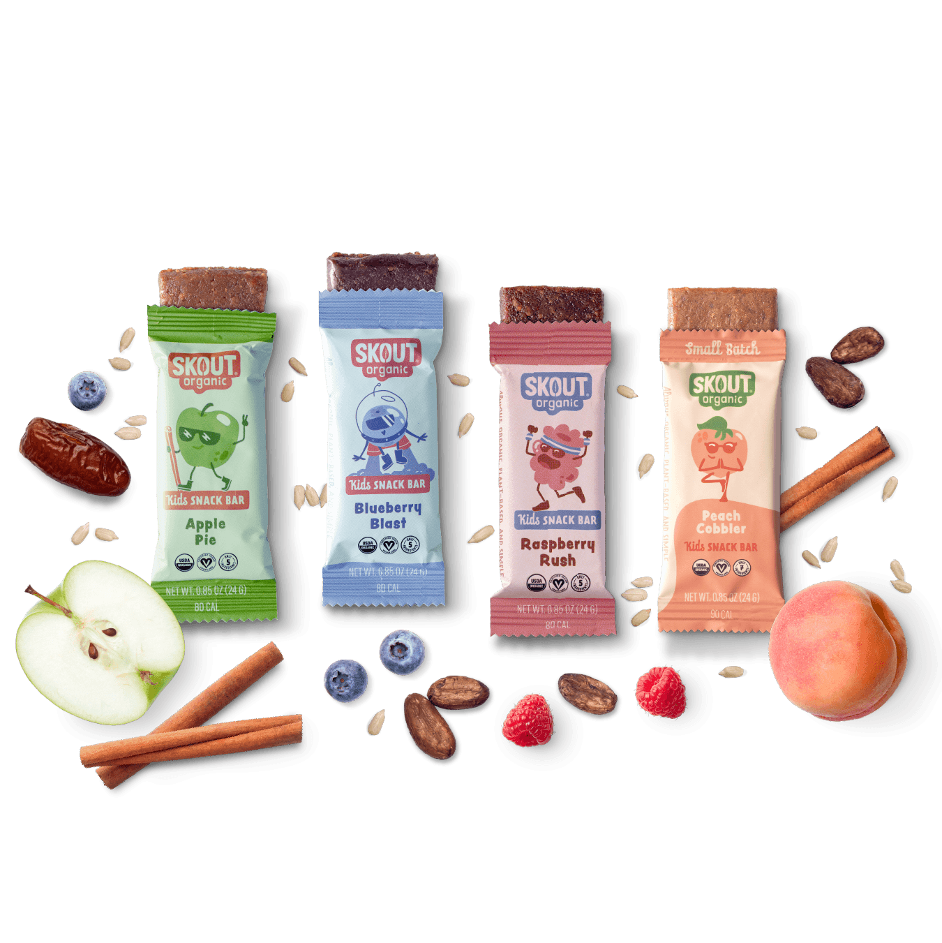 Skout Organic Small Batch Kids Fruit Bar Variety Pack