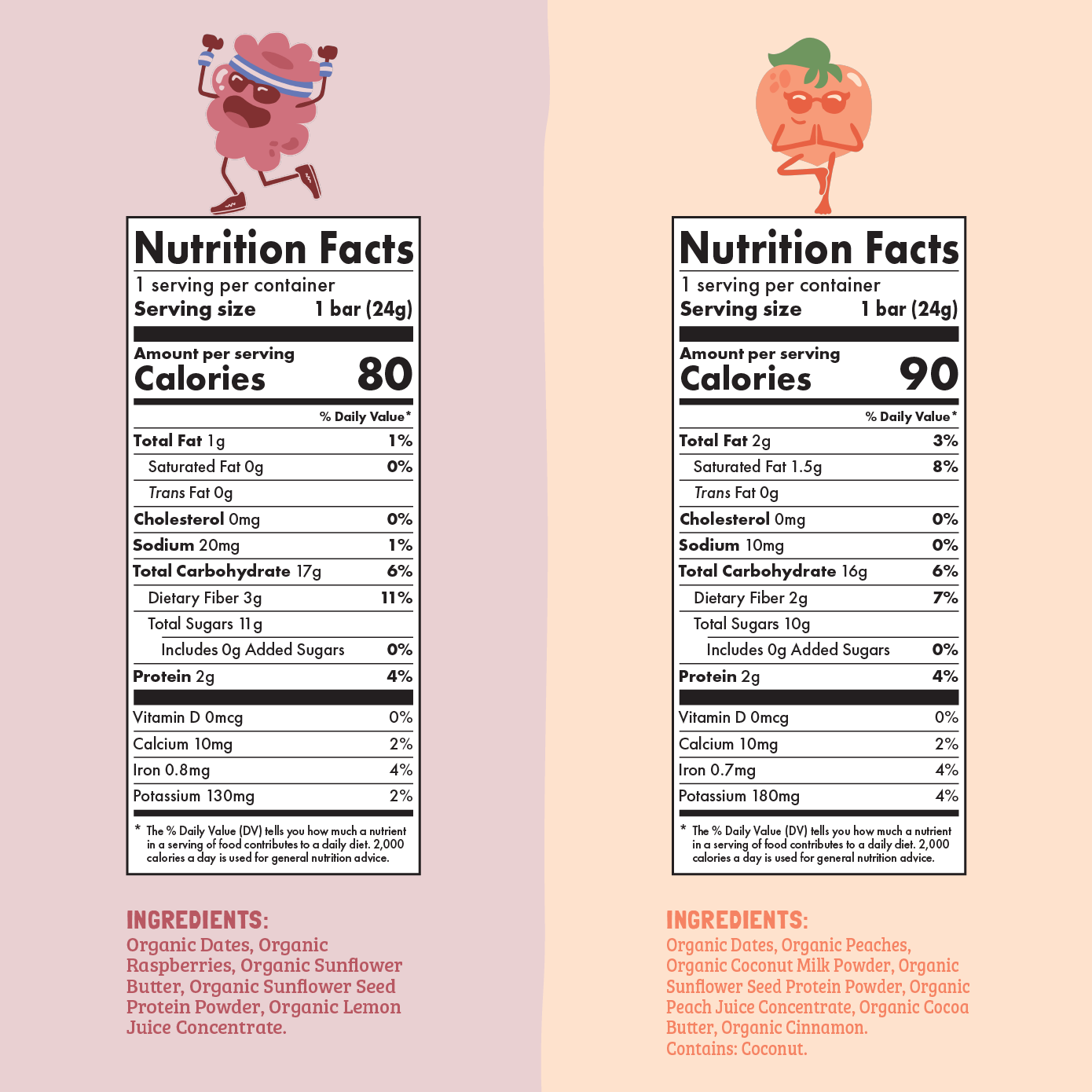 Skout Organic Small Batch Kids Fruit Bar Variety Pack